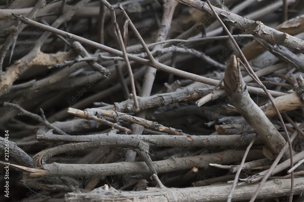 Dry tree branches - waste of timber industry. Pile of wood branches debris, pebbles or gravel background.