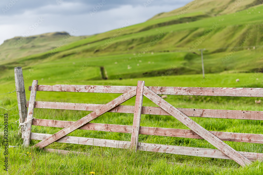 Closeup of wooden fence in rural Iceland countryside, with green grass meadow field hills, sheep, mountains highlands