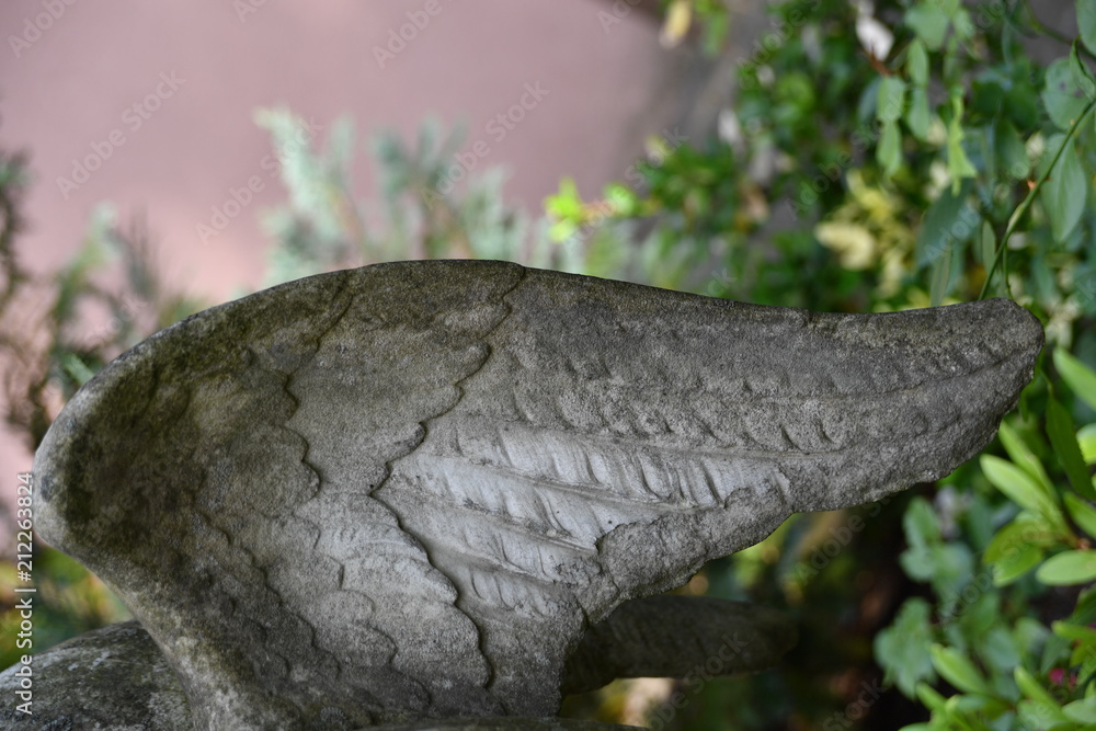 Wing of an angel on acemetery in Berlin-Germany Wing of an angel on acemetery in Berlin-Germany