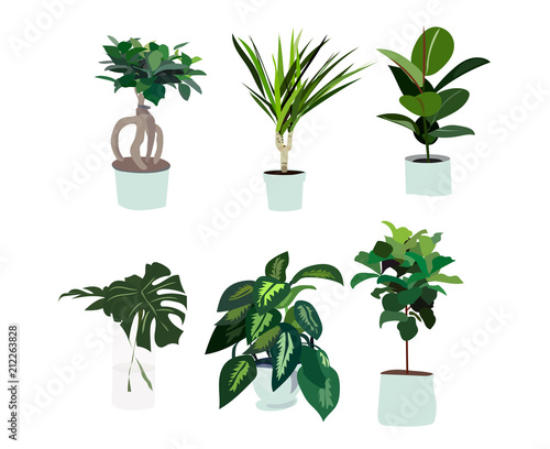 pot plant collection isolated on white background. vector illustration. 