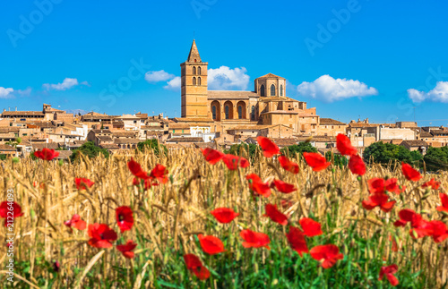 Spanien Mallorca, mediterranes Dorf Sineu mit Mohnblumen Feld Landschaft
