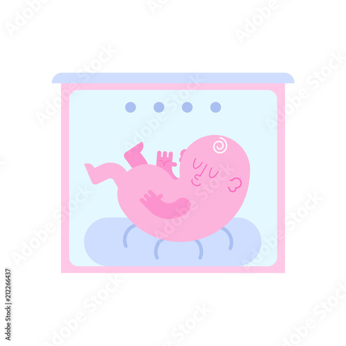 Baby hatch isolated. Baby box for Newborn. Embryo vector illustration