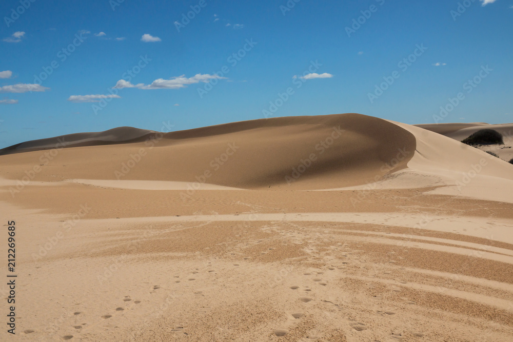 Footprints following the sand dune ridge under the blue sky in New South Wales, Australia.