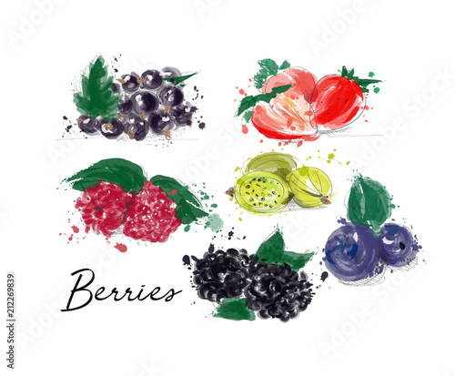 watercolor summer  fruits collection. vector illustration of berry fruits. 