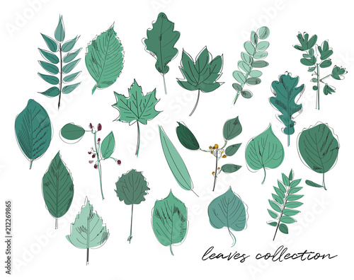 leaves collection vector watercolor sketch illustration. hand drawn trees elements. © gigirosado