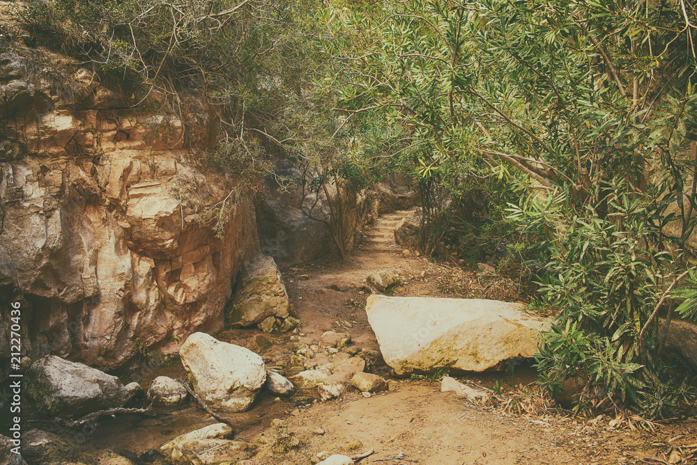 Amazing natural landscape in the Avakas canyon in Cyprus. National wild park with cliffs, mountains, rocks and trees. Deep natural valley to discovery for tourists and travellers. Vintage background Amazing natural landscape in the Avakas canyon in Cyprus. National wild park with cliffs, mountains, rocks and trees. Deep natural valley to discovery for tourists and travellers. Vintage background