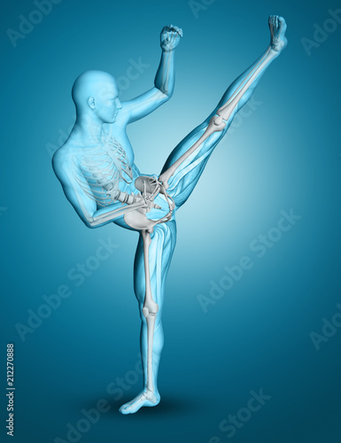 3d male medical figure in kick boxing pose