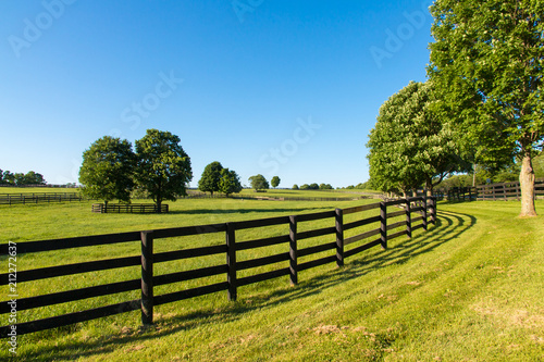 Green pastures of horse farms. Country summer landscape.