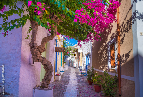 Fototapeta Naklejka Na Ścianę i Meble -  Paved narrow alley of Ano Syros in Syros island, Cyclades, Greece. Street view