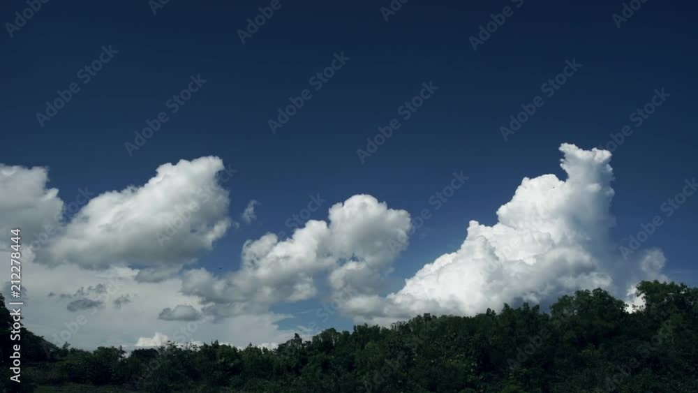 Rain forest with time lapse of clouds above