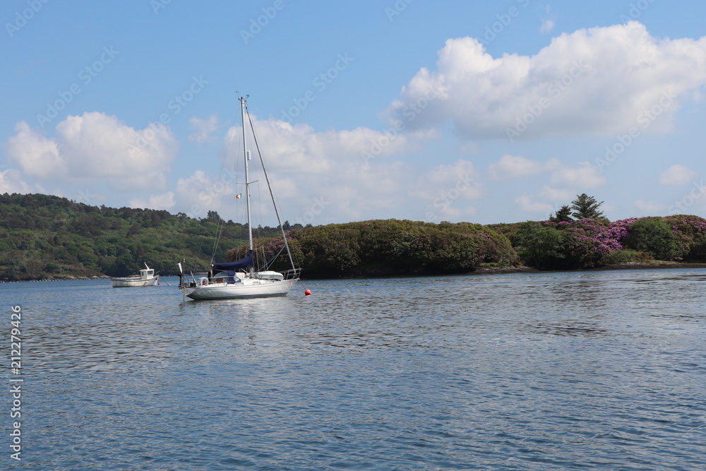 Irlande - Anneau de beara - Baie de Bantry et ses bateaux Irlande - Anneau de beara - Baie de Bantry et ses bateaux