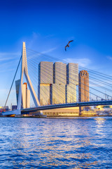Fototapete Rotterdam Schwanenbrücke Rotterdam vor Sonnenuntergang  © danmorgan12