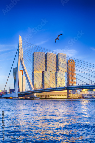 Famous Travel Destinations. Attractive View of Renowned Erasmusbrug (Swan Bridge) in Rotterdam in front of Port and Harbour. Picture Made Before the Sunset.