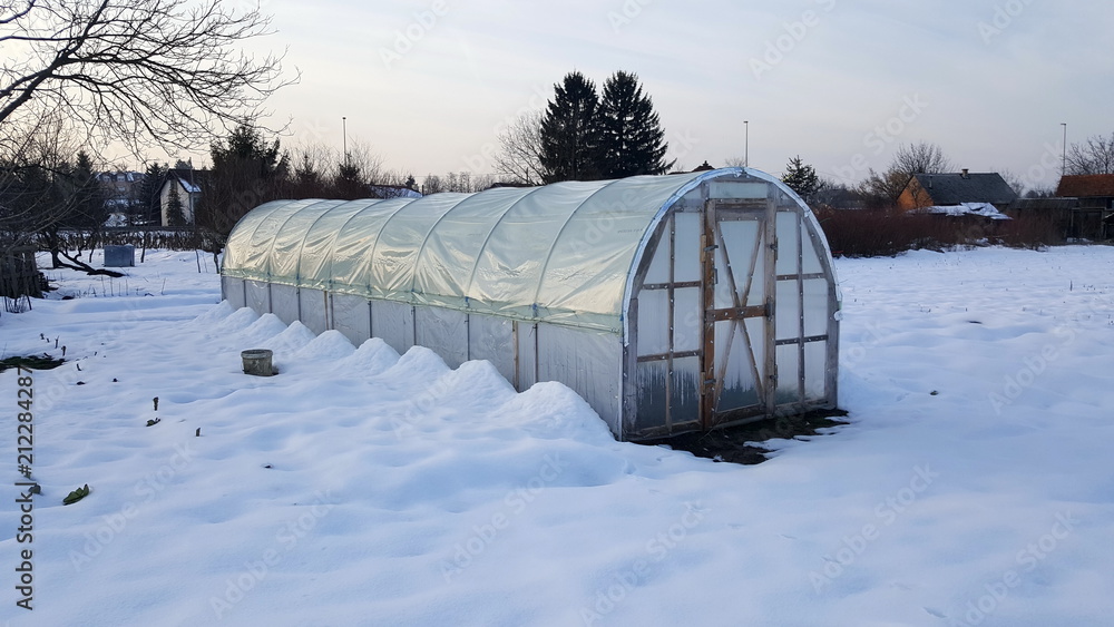 Plastic greenhouse with wooden doors surrounded with plants and freshly fallen snow on cold winter day at sunset Plastic greenhouse with wooden doors surrounded with plants and freshly fallen snow on cold winter day at sunset