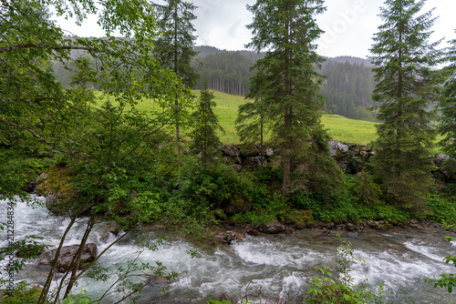 Kleiner Bach im Wald