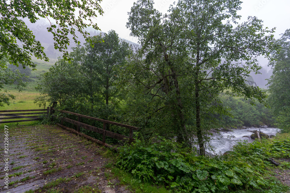 Fototapeta premium Kleiner Bach mit Brücke im Wald