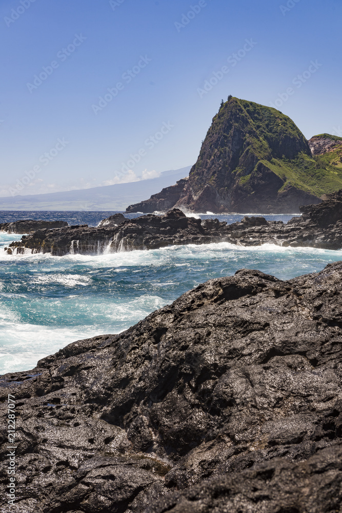 Fototapeta premium Kakakuloa head