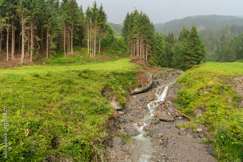 Kleiner Bach im Wald