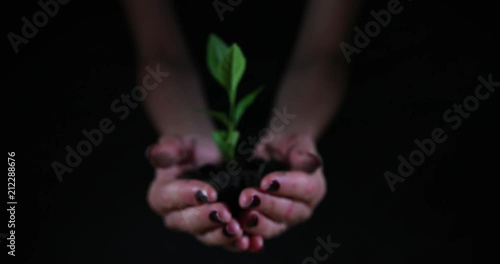 Hands holding plant in soil on black background. photo