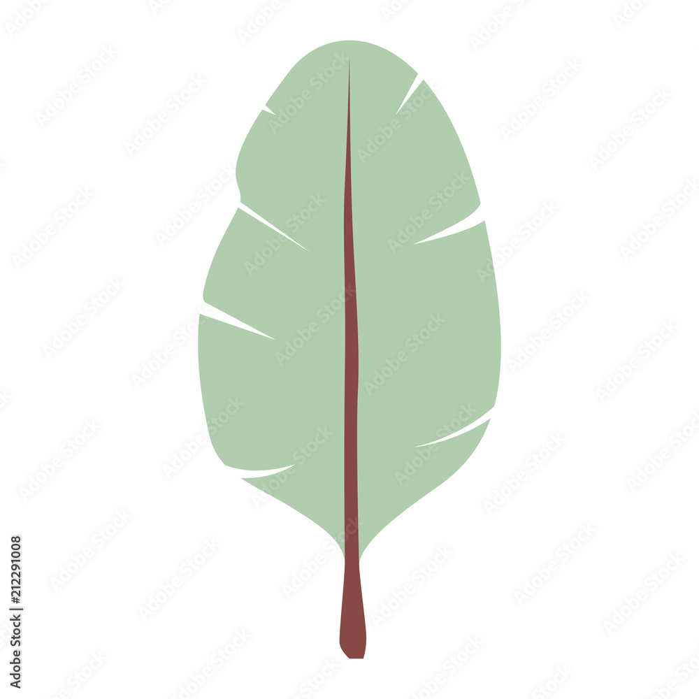 leaf plant ecology icon vector illustration design leaf plant ecology icon vector illustration design