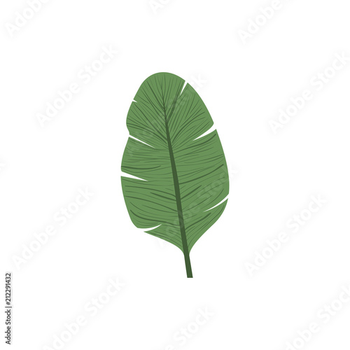leaf plant ecology icon vector illustration design