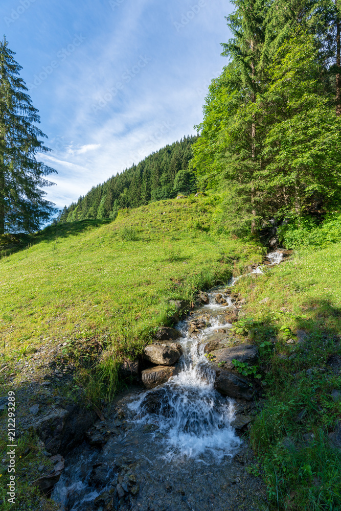 Kleiner Bach der sich vom Hang schlängelt Kleiner Bach der sich vom Hang schlängelt
