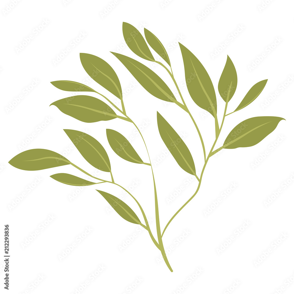 Fototapeta branch with leafs ecology icon vector illustration design