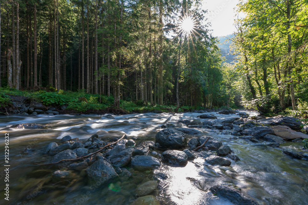 Kleiner Bach im Wald