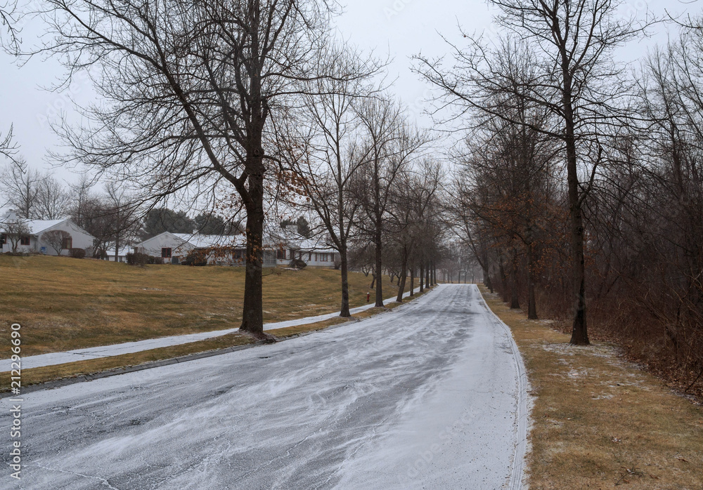 Snow covered roadway under bare trees in winter