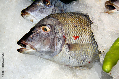 Fototapeta Naklejka Na Ścianę i Meble -  Photo of a macro background of delicious big fish