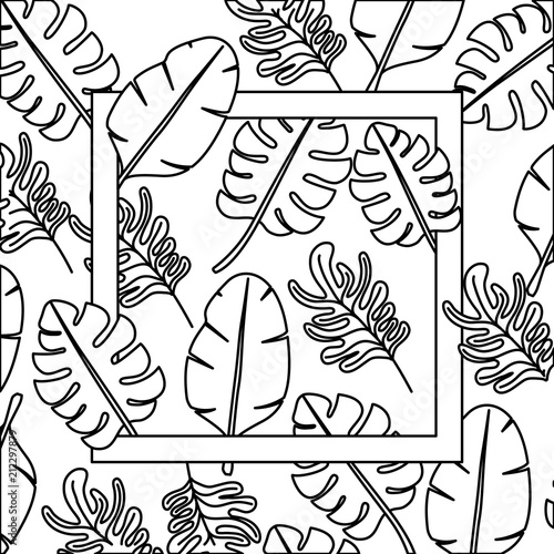 leafs plant ecology frame vector illustration design