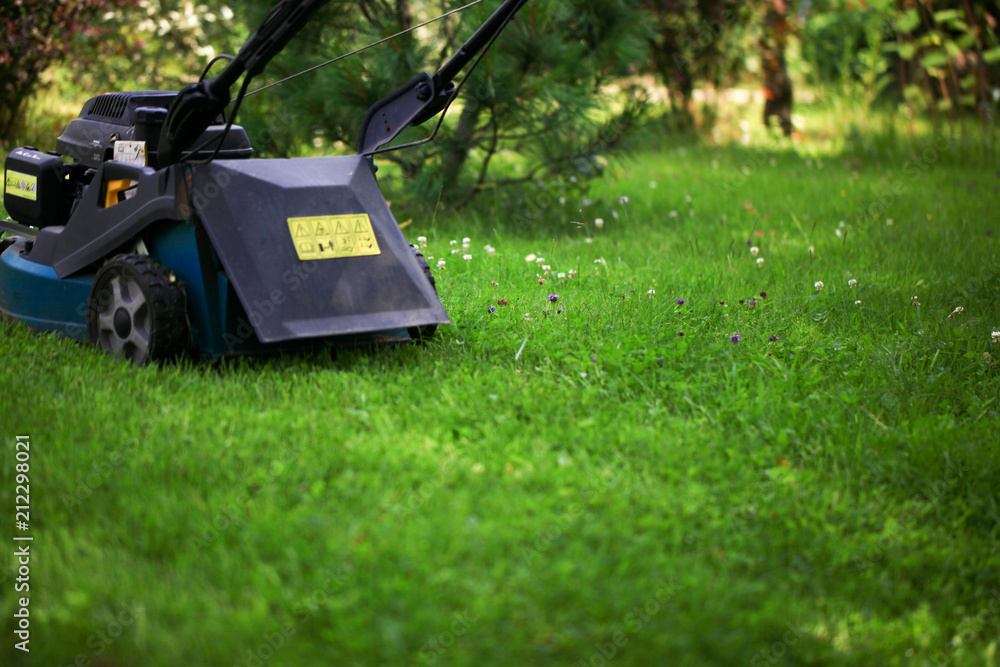 Blurred background of the home garden and lawn mower on mown grass.