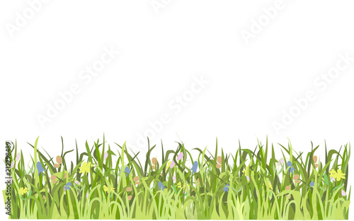 Border with green grass and flowers