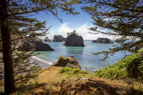 Secret Beach Rock Lookout Natural Framing by Trees | Oregon Coast, Brookings. photo