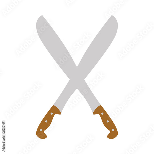 machetes cross vector illustration flat style front  photo