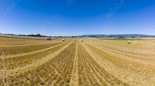 Luftaufnahme  abgem  htes Getreidefeld mit Strohballen  Region W  llstadt  Wetterau  Hessen  Deutschland