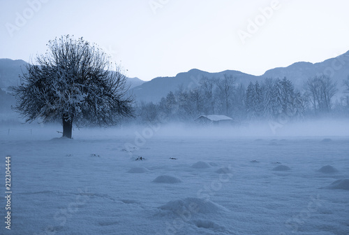 The hut in the fog and snow