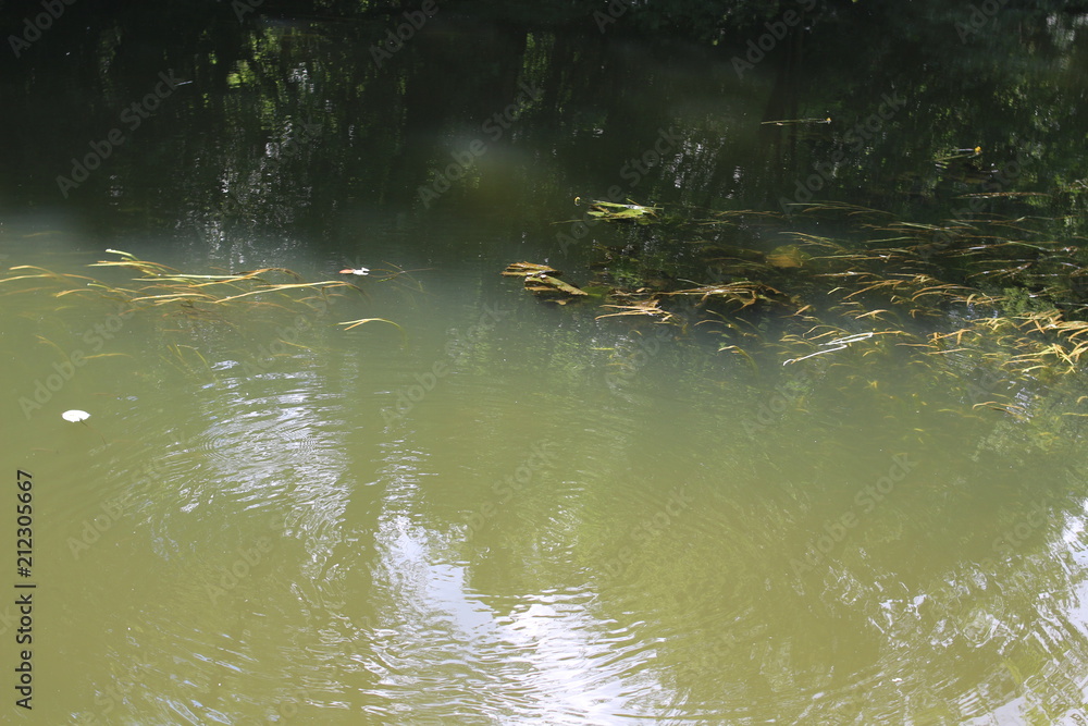 Calm flow of the river Calm flow of the river