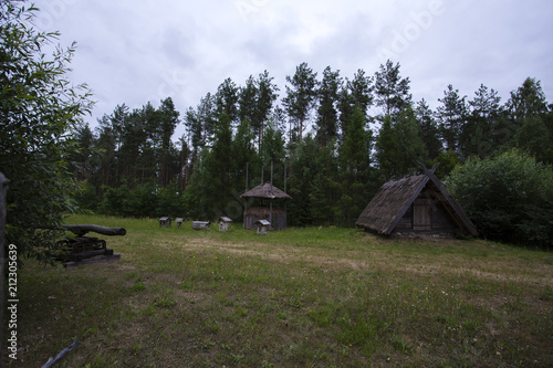Field, hives and forest houses by the forest