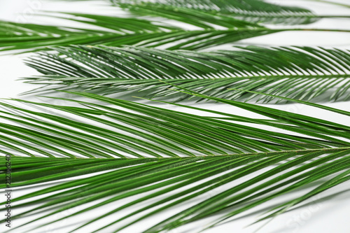 Beautiful tropical leaves on table  closeup