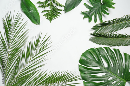 Fototapeta Naklejka Na Ścianę i Meble -  Composition of beautiful tropical leaves on white background