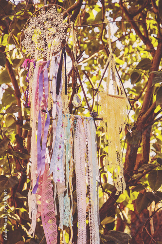 Dream catchers hanging on tree bush photo