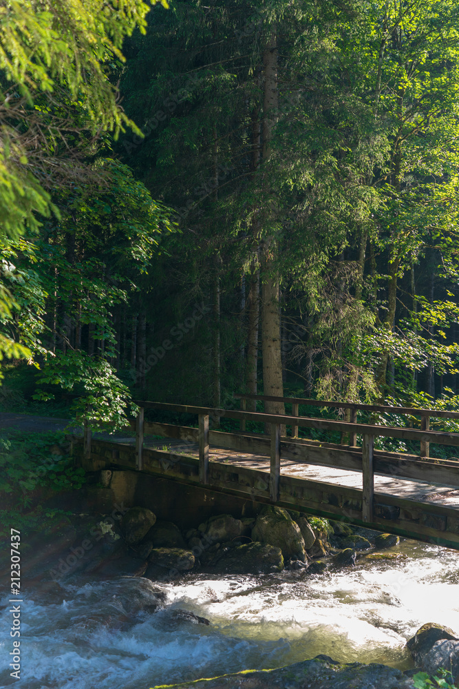 Holzbrücke mit Bach und Wald Holzbrücke mit Bach und Wald
