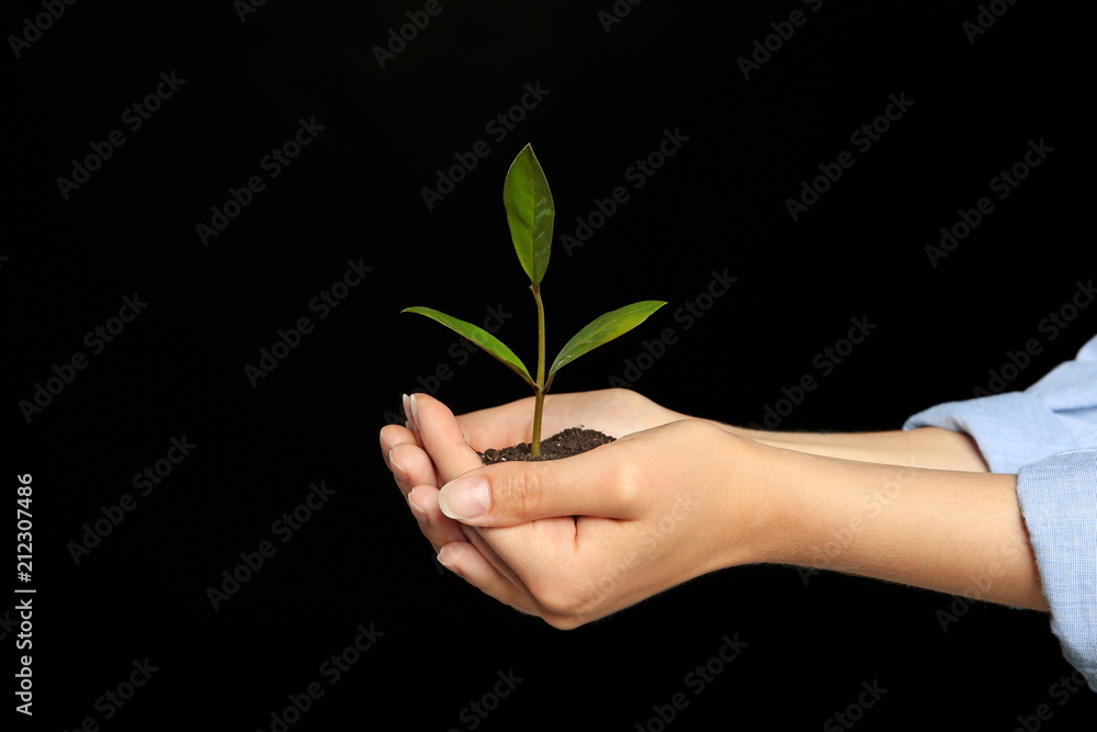 Woman holding soil with green plant in hands on black background Woman holding soil with green plant in hands on black background