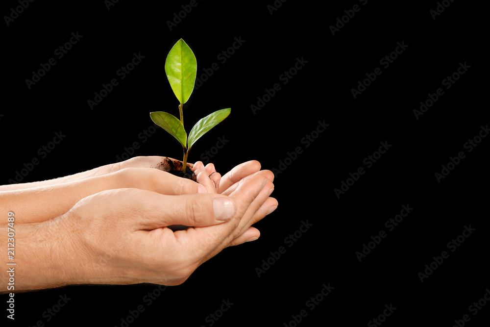 Man and his child holding soil with green plant in hands on black background. Family concept Man and his child holding soil with green plant in hands on black background. Family concept
