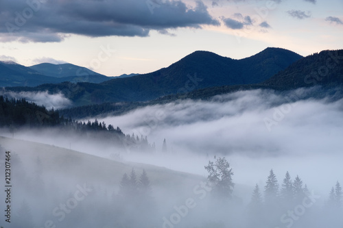 Mountain valley in the mist. Beautiful natural landscape at the summer time during sunrise © biletskiyevgeniy.com