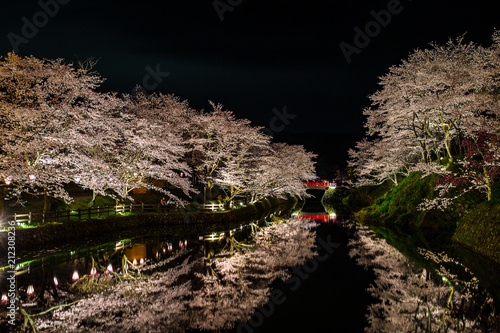 夜桜
