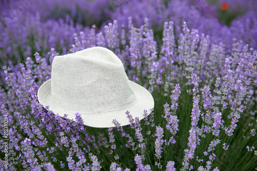 Fototapeta Naklejka Na Ścianę i Meble -  a hat is on the lavender flower bush, beautiful summer landscape with lavender flowers in the field