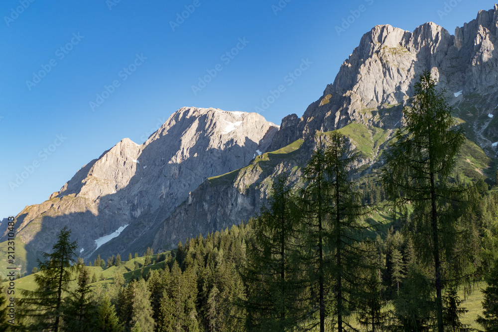 Obraz premium baeutiful spring mountain alpine nature