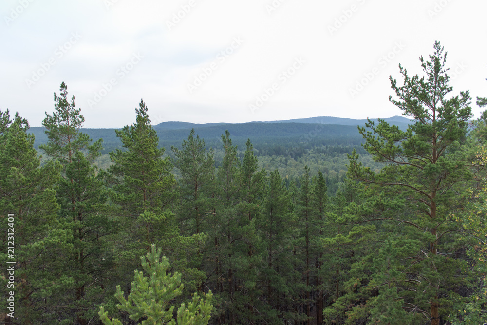 Borovoe, Burabay, spruce, mountains Borovoe, Burabay, spruce, mountains